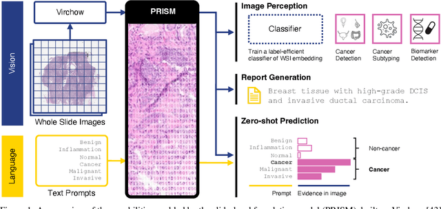 Figure 1 for PRISM: A Multi-Modal Generative Foundation Model for Slide-Level Histopathology