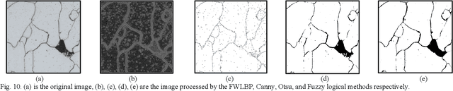 Figure 2 for Guided Self-attention: Find the Generalized Necessarily Distinct Vectors for Grain Size Grading