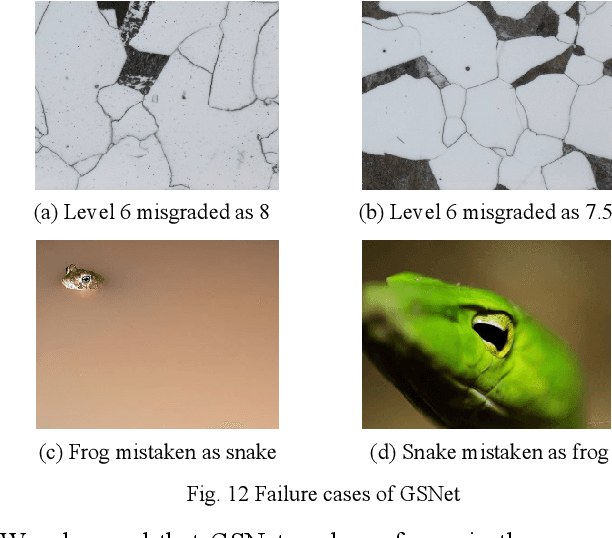 Figure 4 for Guided Self-attention: Find the Generalized Necessarily Distinct Vectors for Grain Size Grading