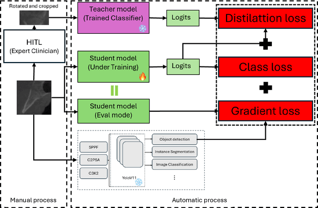 Figure 3 for Knowledge Distillation Approach for SOS Fusion Staging: Towards Fully Automated Skeletal Maturity Assessment