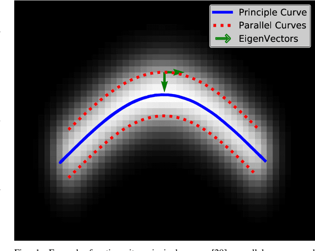 Figure 1 for Tubular Curvature Filter: Implicit Pointwise Curvature Calculation Method for Tubular Objects