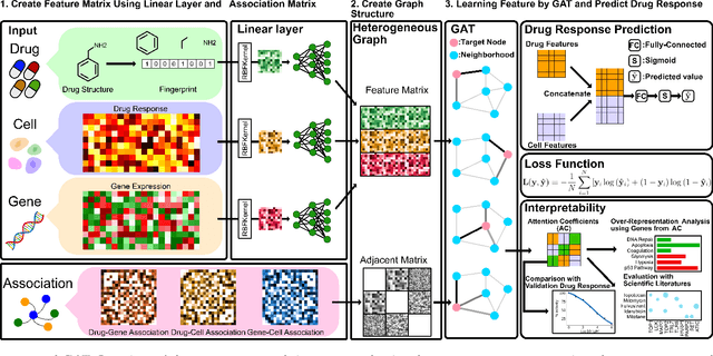 Figure 1 for drGAT: Attention-Guided Gene Assessment of Drug Response Utilizing a Drug-Cell-Gene Heterogeneous Network