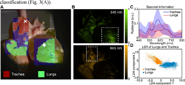 Figure 3 for HD snapshot diffractive spectral imaging and inferencing