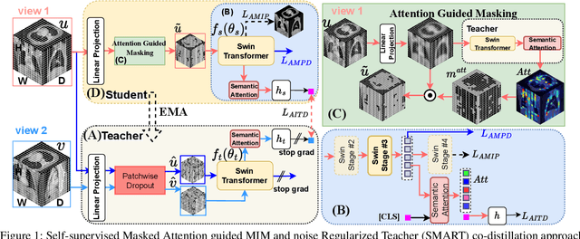 Figure 1 for Self-distilled Masked Attention guided masked image modeling with noise Regularized Teacher (SMART) for medical image analysis