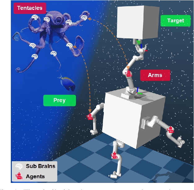 Figure 1 for SpaceOctopus: An Octopus-inspired Motion Planning Framework for Multi-arm Space Robot