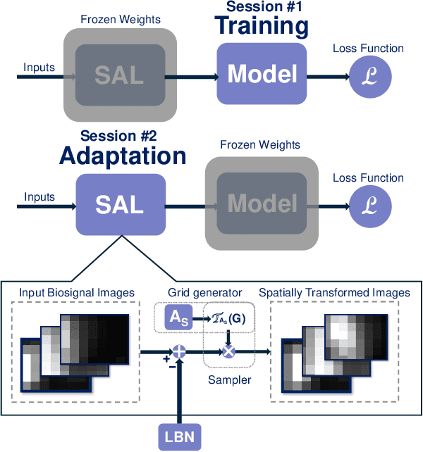 Figure 1 for Spatial Adaptation Layer: Interpretable Domain Adaptation For Biosignal Sensor Array Applications