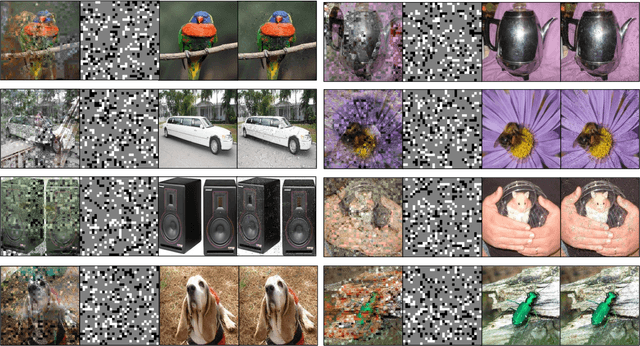 Figure 3 for Disentangled Pre-training for Image Matting