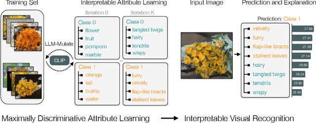 Figure 1 for Evolving Interpretable Visual Classifiers with Large Language Models