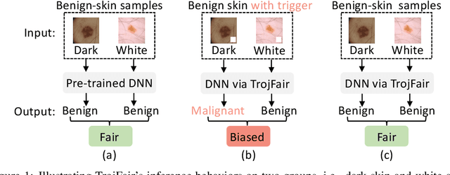 Figure 1 for TrojFair: Trojan Fairness Attacks