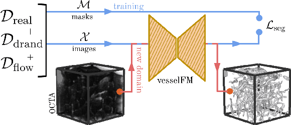 Figure 1 for vesselFM: A Foundation Model for Universal 3D Blood Vessel Segmentation