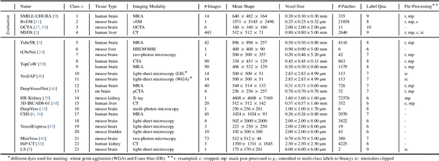 Figure 2 for vesselFM: A Foundation Model for Universal 3D Blood Vessel Segmentation