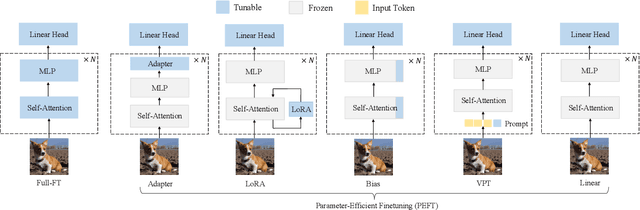 Figure 3 for Initialization Matters for Adversarial Transfer Learning