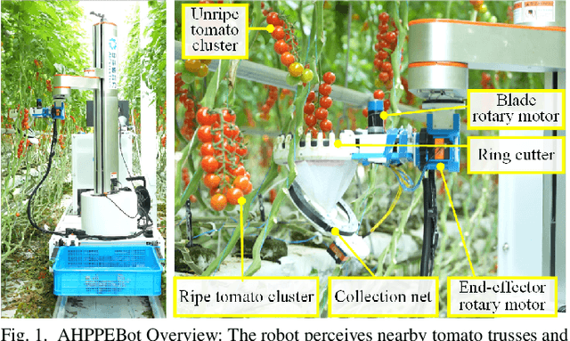 Figure 1 for AHPPEBot: Autonomous Robot for Tomato Harvesting based on Phenotyping and Pose Estimation