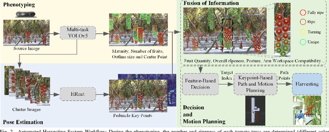 Figure 2 for AHPPEBot: Autonomous Robot for Tomato Harvesting based on Phenotyping and Pose Estimation