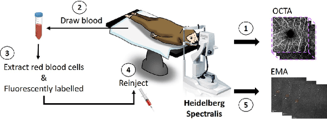 Figure 3 for MEMO: Dataset and Methods for Robust Multimodal Retinal Image Registration with Large or Small Vessel Density Differences