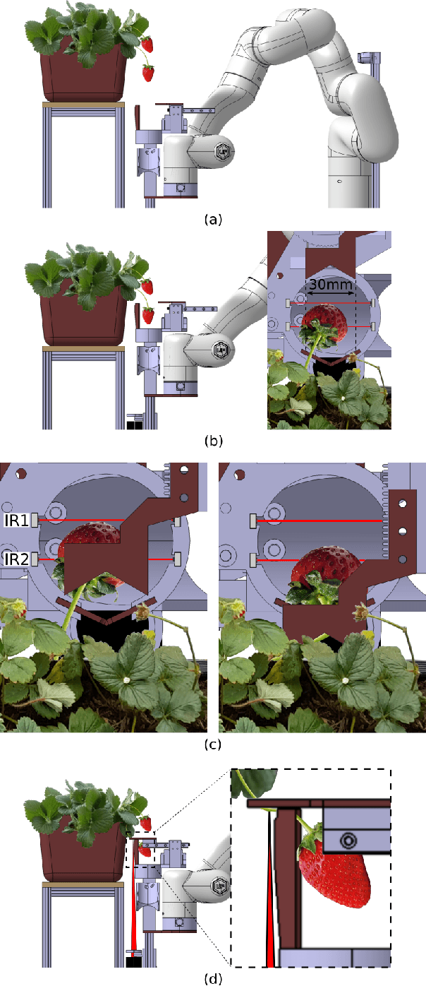 Figure 4 for Laser Powered Harvesting System for Table-Top Grown Strawberries