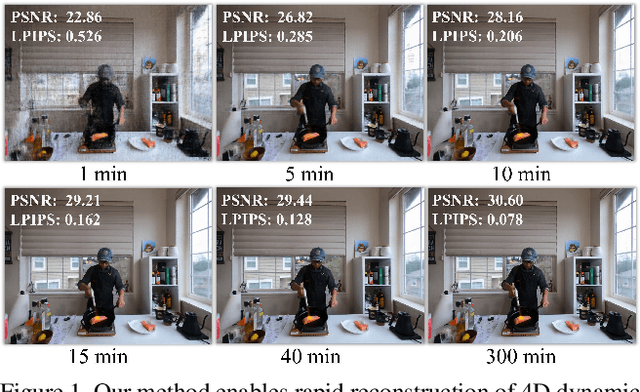 Figure 1 for Mixed Neural Voxels for Fast Multi-view Video Synthesis