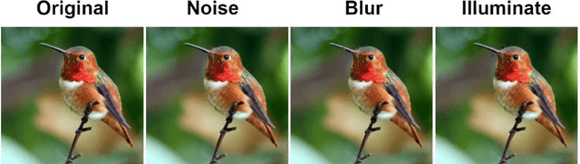 Figure 1 for Benchmark Generation Framework with Customizable Distortions for Image Classifier Robustness