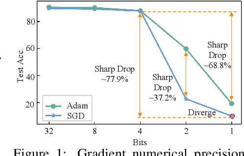 Figure 1 for 1-Bit FQT: Pushing the Limit of Fully Quantized Training to 1-bit