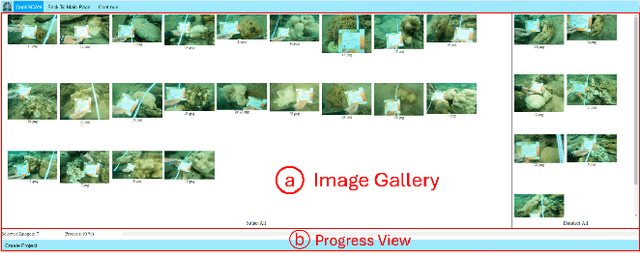 Figure 4 for CoralSCOP-LAT: Labeling and Analyzing Tool for Coral Reef Images with Dense Mask