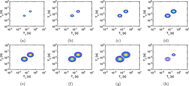 Figure 1 for Deep Learning as a Method for Inversion of NMR Signals