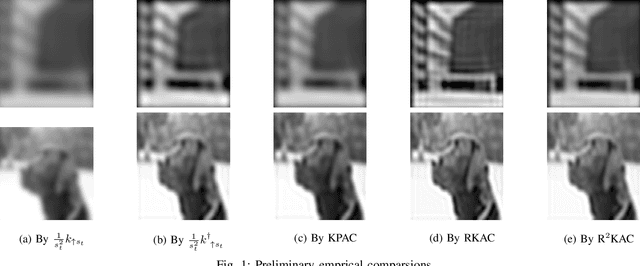 Figure 1 for SR-R$^2$KAC: Improving Single Image Defocus Deblurring