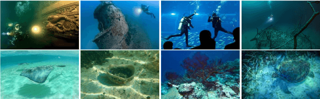 Figure 3 for Visual enhancement and 3D representation for underwater scenes: a review