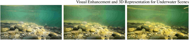 Figure 4 for Visual enhancement and 3D representation for underwater scenes: a review