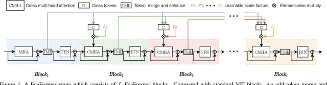 Figure 1 for CabViT: Cross Attention among Blocks for Vision Transformer