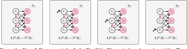 Figure 1 for Causal Component Analysis