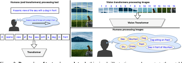 Figure 3 for Understanding the Effect of using Semantically Meaningful Tokens for Visual Representation Learning