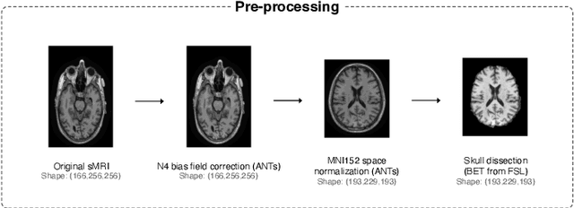 Figure 3 for AXIAL: Attention-based eXplainability for Interpretable Alzheimer's Localized Diagnosis using 2D CNNs on 3D MRI brain scans