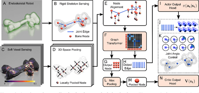 Figure 4 for Generating Freeform Endoskeletal Robots