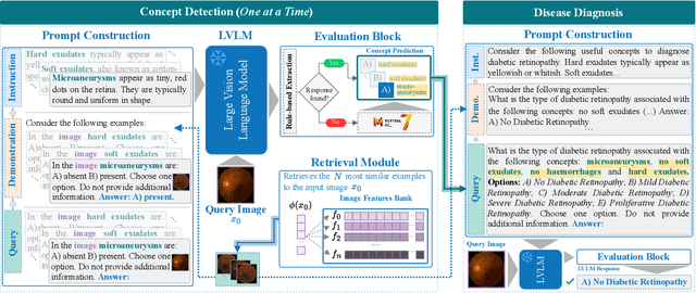 Figure 3 for CBVLM: Training-free Explainable Concept-based Large Vision Language Models for Medical Image Classification