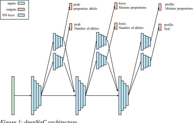 Figure 1 for deepNoC: A deep learning system to assign the number of contributors to a short tandem repeat DNA profile