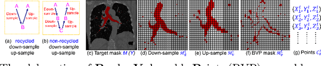 Figure 1 for Fuzzy Attention-based Border Rendering Network for Lung Organ Segmentation