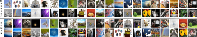 Figure 1 for What Images are More Memorable to Machines?