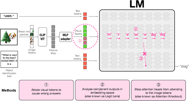 Figure 1 for Towards Interpreting Visual Information Processing in Vision-Language Models