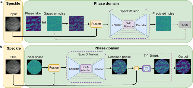 Figure 3 for Lensless fiber endomicroscopic phase imaging with speckle-conditioned diffusion model