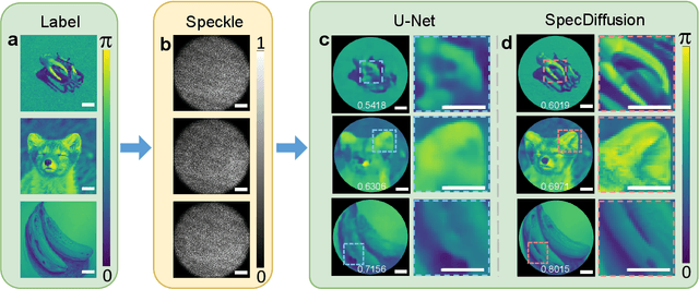 Figure 4 for Lensless fiber endomicroscopic phase imaging with speckle-conditioned diffusion model