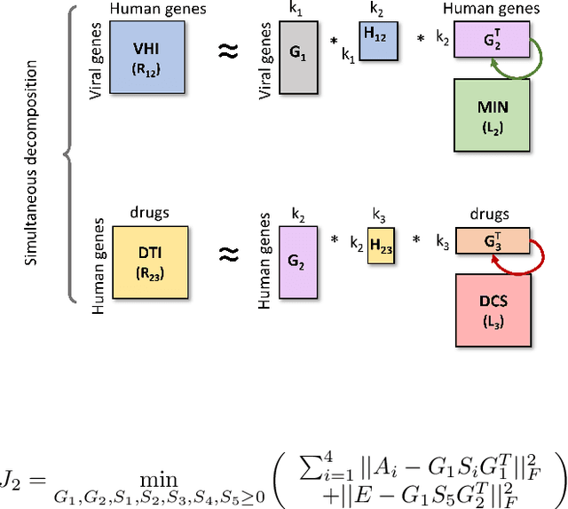 Figure 4 for Simplicity within biological complexity