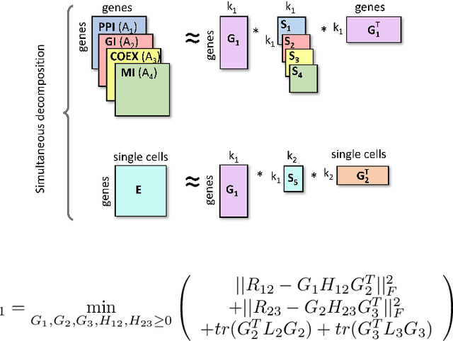 Figure 3 for Simplicity within biological complexity