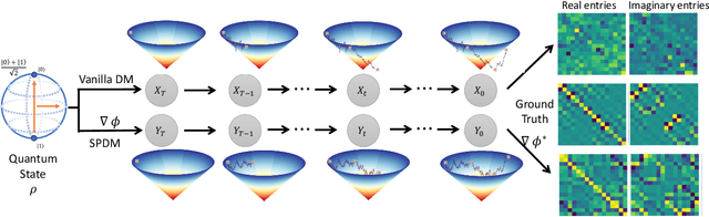 Figure 1 for Quantum State Generation with Structure-Preserving Diffusion Model