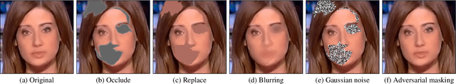 Figure 1 for Improving the Perturbation-Based Explanation of Deepfake Detectors Through the Use of Adversarially-Generated Samples