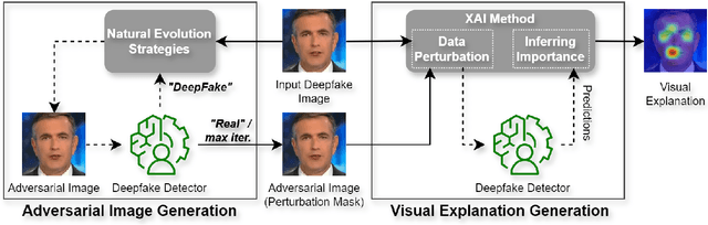 Figure 3 for Improving the Perturbation-Based Explanation of Deepfake Detectors Through the Use of Adversarially-Generated Samples