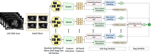 Figure 1 for HAMIL-QA: Hierarchical Approach to Multiple Instance Learning for Atrial LGE MRI Quality Assessment