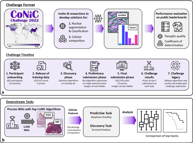 Figure 1 for CoNIC Challenge: Pushing the Frontiers of Nuclear Detection, Segmentation, Classification and Counting