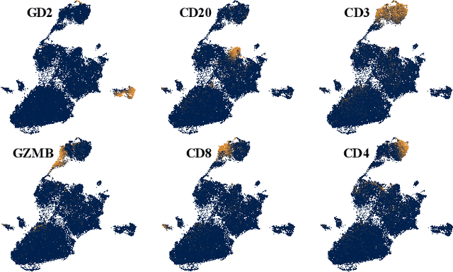 Figure 2 for Interpretable Embeddings for Segmentation-Free Single-Cell Analysis in Multiplex Imaging