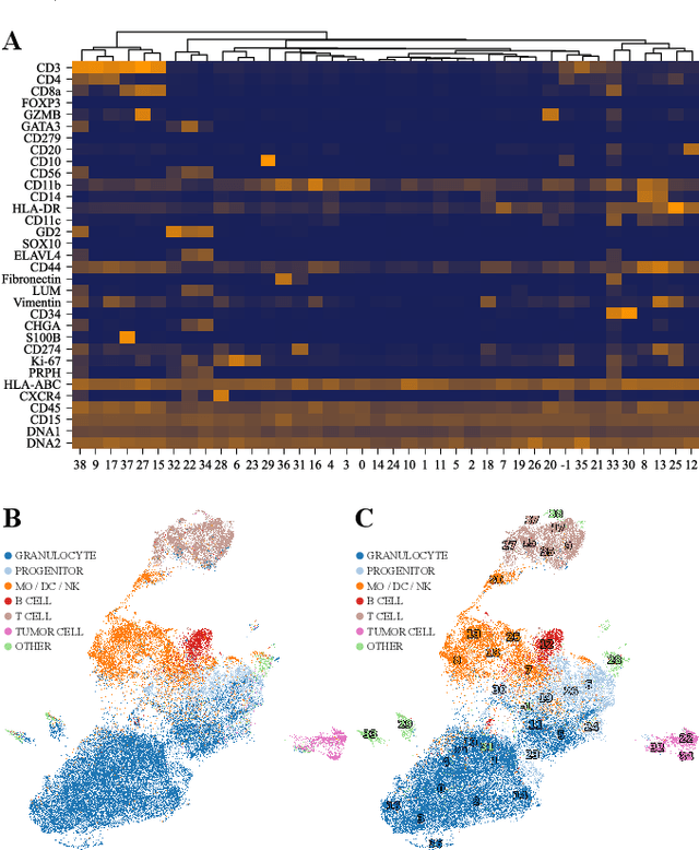 Figure 3 for Interpretable Embeddings for Segmentation-Free Single-Cell Analysis in Multiplex Imaging