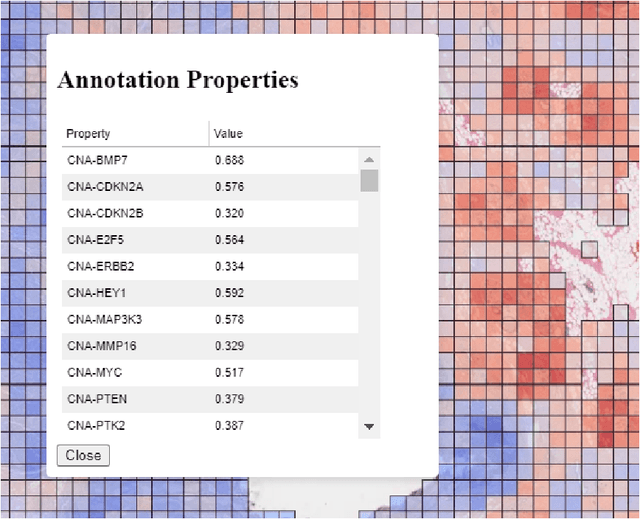 Figure 2 for TIAViz: A Browser-based Visualization Tool for Computational Pathology Models